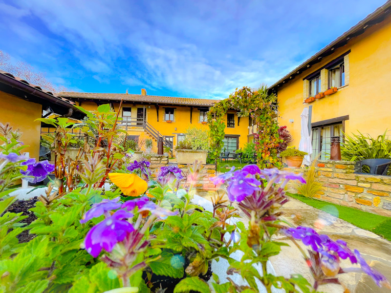 Auberge Des Bichonnieres in Ambérieux-en-Dombes, France